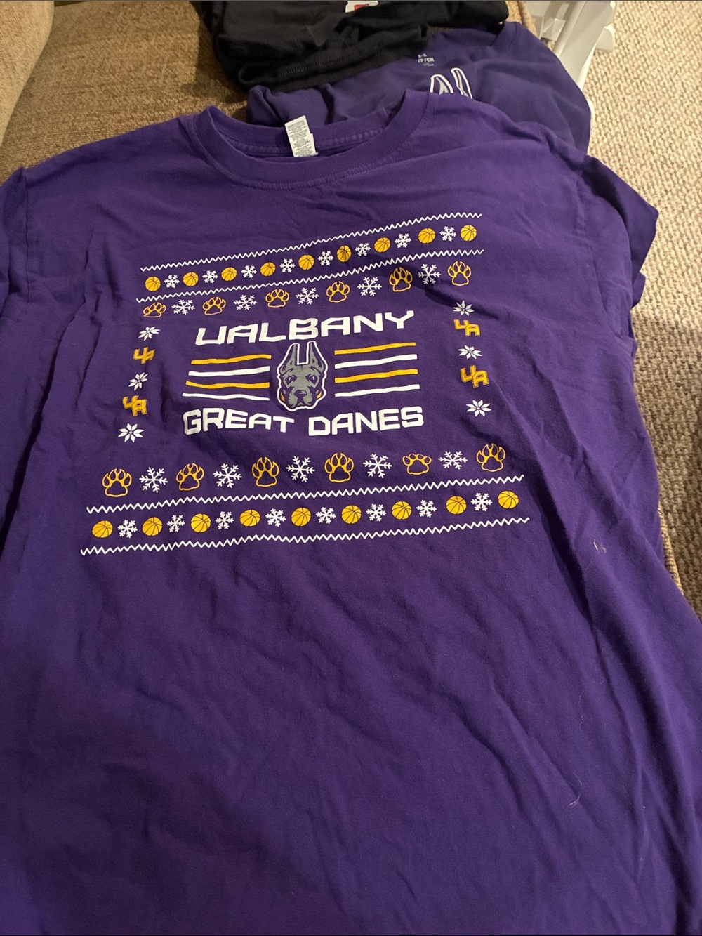 Alba Purple UAlbany Great Danes Graphic Tee